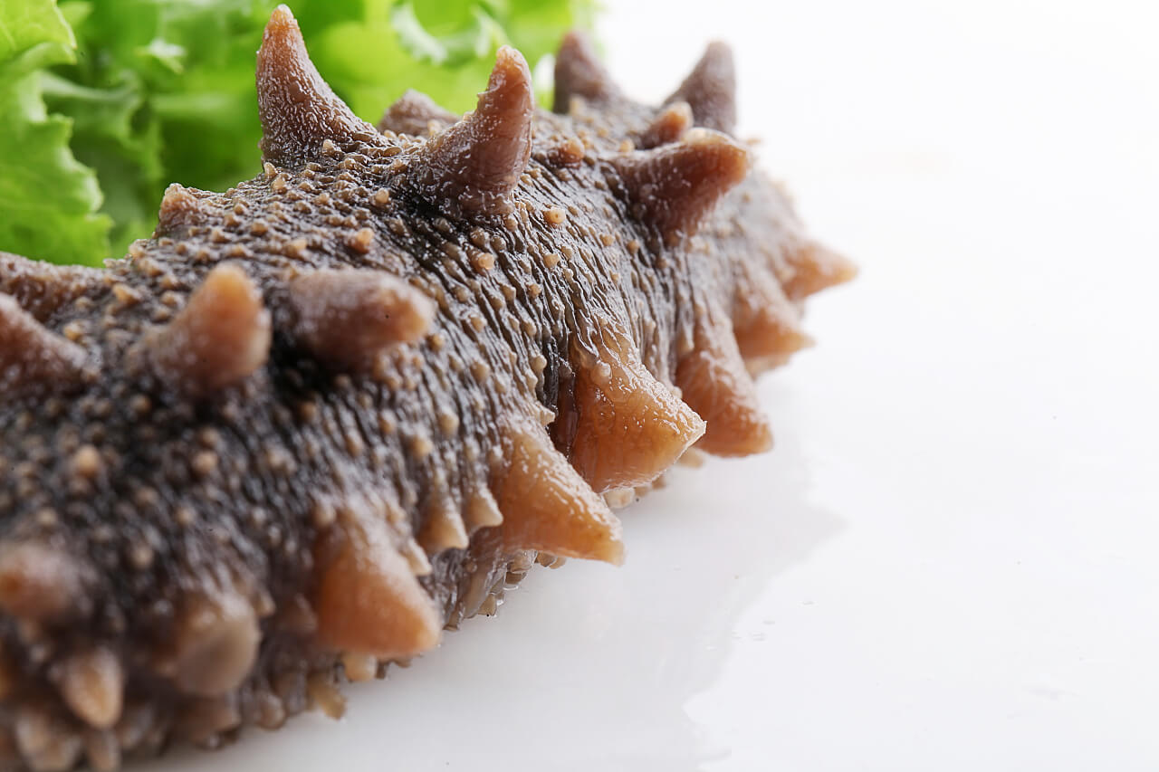 经常吃海参 知道海参的食用禁忌有哪些吗